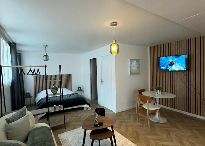 Appartamento Petit Appt Cosy Et Moderne Perpignano
